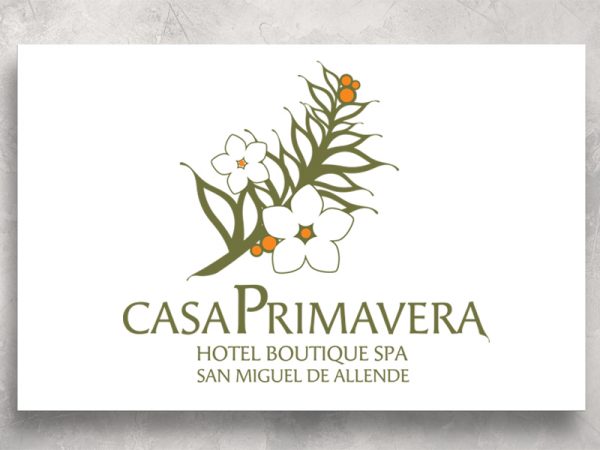 <span>CASA PRIMAVERA – LOGO</span><i>→</i>