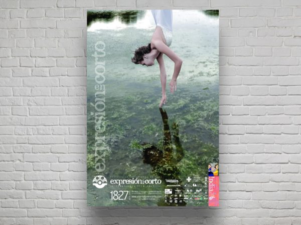 <span>EXPRESIÓN LAGUNA – POSTER</span><i>→</i>