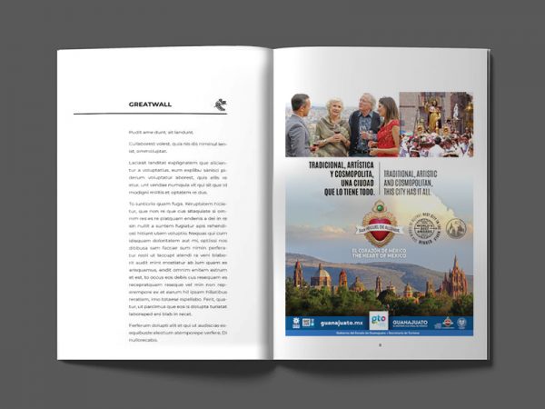 <span>ARTE CONSEJO – EDITORIAL</span><i>→</i>
