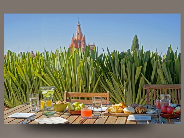<span>OLIVOS – FOTOGRAFÍA</span><i>→</i>